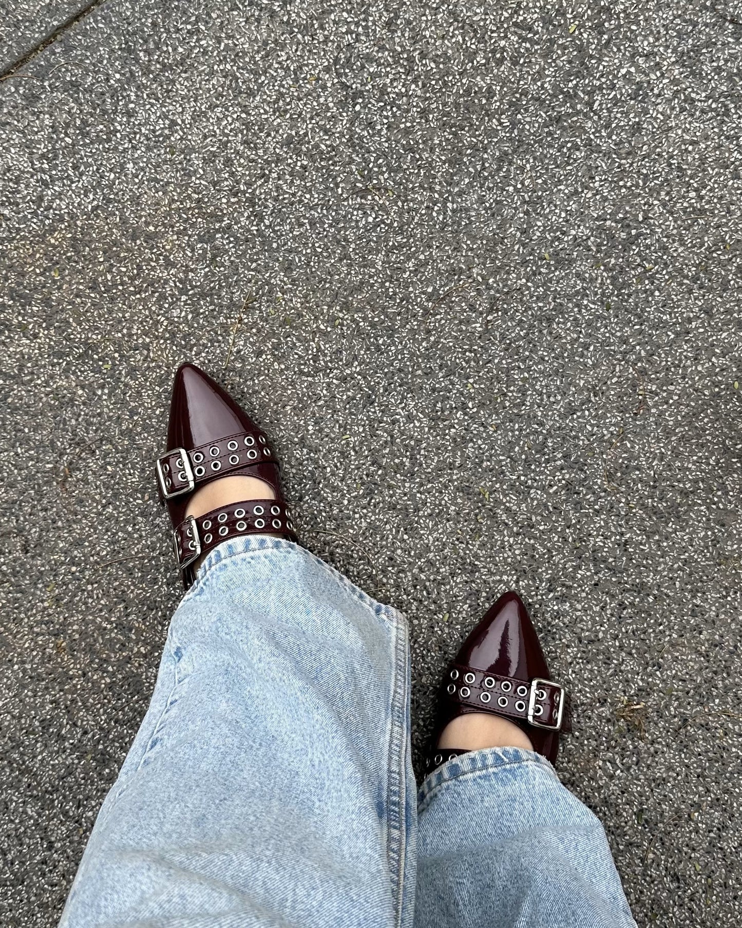 Flats Alissa Dark Burgundy